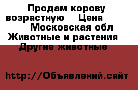 Продам корову возрастную  › Цена ­ 30 000 - Московская обл. Животные и растения » Другие животные   